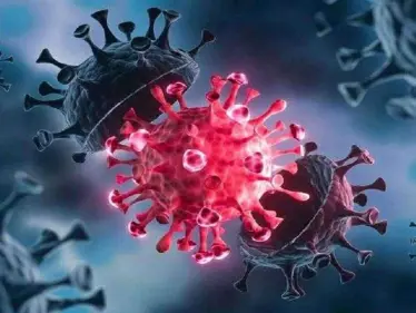 وزير صحة جنوب أفريقيا يعلق على المتحور الجديد الذي أرعب العالم ويكشف حجم خطورته - وكالة ستيب نيوز