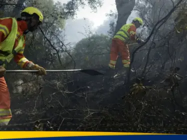 في ظل رياح عاتية.. استمرار مكافحة حرائق الغابات في المغرب - وكالة ستيب نيوز