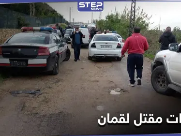 تغريدة غامضة لنجل نصر الله حول اغتيال لقمان سليم وسرعان ما حذفها (صور) - وكالة ستيب نيوز