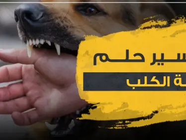 تفسير حلم عضة الكلب في المنام و4 دلالات في رؤيته للعامة في المنام - وكالة ستيب نيوز