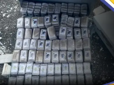 السلطات المغربية تحبط عملية تهريب مخدرات مخفية بطريقة "غريبة" - وكالة ستيب نيوز