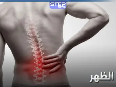 للتخلص من آلام الظهر المزعجة نهائياً.. حافظ على تناول هذا النوع من الطعام - وكالة ستيب نيوز