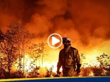 سيارات متفحمة ومنازل التهمتها النيران.. مشاهد مرعبة من تشيلي وعشرات القتلى - وكالة ستيب نيوز