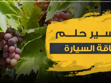 تفسير حلم رؤية أكل العنب..4 تفاسير مختلفة مع تفصيل أنواع العنب للرجال والنساء - وكالة ستيب نيوز