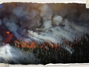 شاهد|| حرائق مدمرة تلتهم غابات روسية وتحاصر المنازل وسط أنباء عن سقوط 6 قتلى - وكالة ستيب نيوز