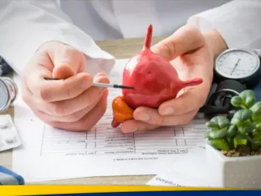 سابقة تاريخية تهز عالم الطب.. زرع مثانة بشرية بنجاح في الولايات المتحدة - وكالة ستيب نيوز