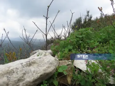 موجز أخبار الوضع السوري ليوم السبت 13-04-2019 - وكالة ستيب نيوز