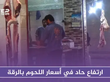 نتيجة للتصدير العشوائي.. سوق اللحوم في الرقة يشهد ارتفاعاً حاداً في الأسعار - وكالة ستيب نيوز