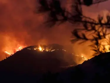 4 قتلى مصريون إثر حريق مستعر لليوم الثاني في غاباتٍ كثيفة بقبرص (صور) - وكالة ستيب نيوز