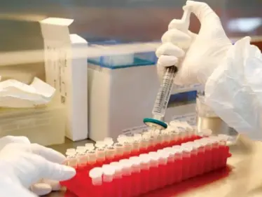 معلومات عن قرار بالإجماع من الأمم المتحدة حول لقاحات كورونا - وكالة ستيب نيوز