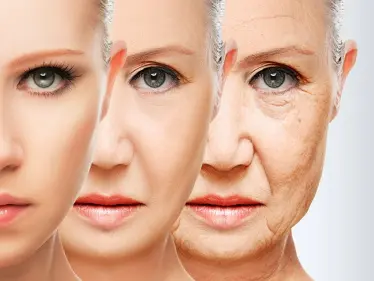 كريمات العناية بالبشرة ..اصنعها بشكل طبيعي وبنتائج سريعة خلال 30 دقيقة - وكالة ستيب نيوز