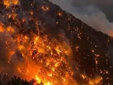 أردوغان يتوجه بالشكر لبوتين بسبب "حرائق تركيا" وملك عربي يبدي استعداده للمساعدة - وكالة ستيب نيوز