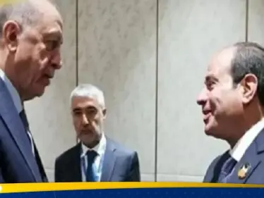 من مصر.. أردوغان يوجّه رسالة ويكشف ما ناقشه مع السيسي - وكالة ستيب نيوز