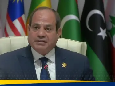 السيسي يوجه رسالة تحذير صارمة لـ شعب إسرائيل وطلباً للدول العربية والإسلامية - وكالة ستيب نيوز