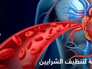 فاكهة شهيرة لتنظيف الشرايين.. احرص على تناولها يومياً - وكالة ستيب نيوز
