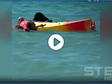 بالفيديو|| الرئيس البرتغالي ينقذ امرأتين كادتا تغرقان بعرض البحر وسط تشجيع الناس - وكالة ستيب نيوز