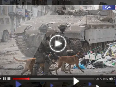 بالفيديو|| الجيش الإسرائيلي ينشر توثيقاً للقتال المشترك بين مقاتلي وكلاب وحدة "عوكيتس" في غزة - وكالة ستيب نيوز