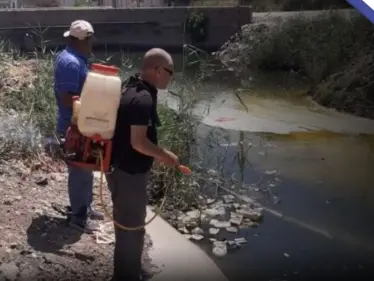 مرض غريب يهدد سكان قرية مصرية وتحرك عاجل للسلطات - وكالة ستيب نيوز