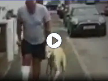 بالفيديو|| بريطاني يدفع 300 جنيه بحثاً عن مرض كلبه ليتفاجأ بأنه مجرد "وفاء وتعاطف" - وكالة ستيب نيوز