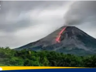 دراسة علمية.. أوراق الشجر تتنبأ بثوران البراكين قبل البشر - وكالة ستيب نيوز