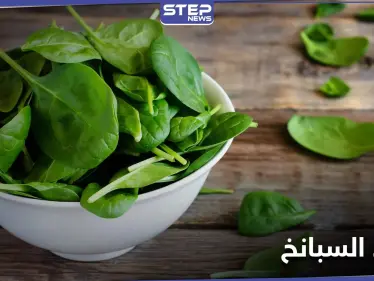 ماذا تعرف عن طعام "باباي" المفضل.. 10 فوائد للسبانخ أهمها نقصان الوزن - وكالة ستيب نيوز