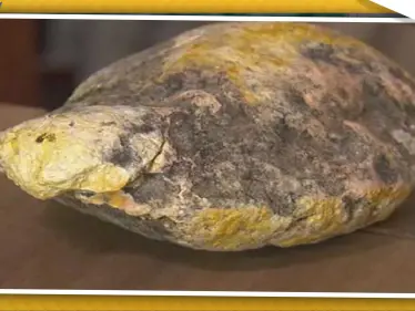 أثناء بحثه عن نفايات.. عامل نظافة يعثر على "قيء حوت" باهظ الثمن ! - وكالة ستيب نيوز