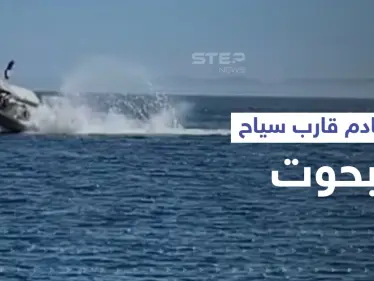 بالفيديو|| تصادم قارب سياح بحوت ضخم ووقوع عدد من الإصابات - وكالة ستيب نيوز