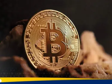 تقرير مفصل عن عمليات الاحتيال في العملات المشفرة.. وكيف يتم إيقاع الضحايا - وكالة ستيب نيوز