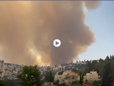 بالفيديو || حرائق هائلة تطرد الإسرائيليين من منازلهم غرب مدينة القدس والتحقيقات على قدمٍ وساق - وكالة ستيب نيوز