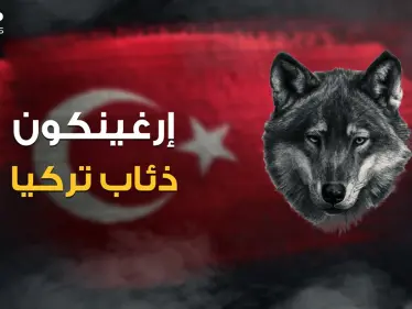 رضعوا حليب الذئاب .. ماذا تعرف عن منظمة إرغينكون وقصة الذئبة التي أنجبت الأتراك! - وكالة ستيب نيوز