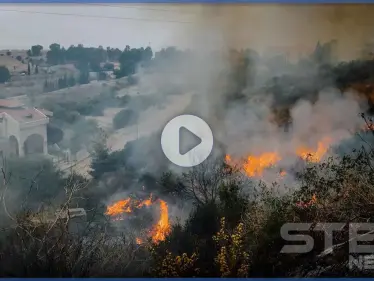 بالفيديو|| حرائق الساحل السوري تحصد أول ضحاياها.. ولبنان يواجه الكارثة ذاتها - وكالة ستيب نيوز