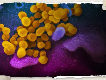 متحوّر جديد لفيروس كورونا.. "إيريس" ينتشر سريعاً في بريطانيا وأمريكا - وكالة ستيب نيوز