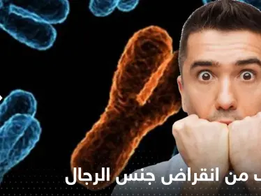 دراسة تنذر بانقراض جنس الرجال.. الأمر بدأ من الفئران! - وكالة ستيب نيوز