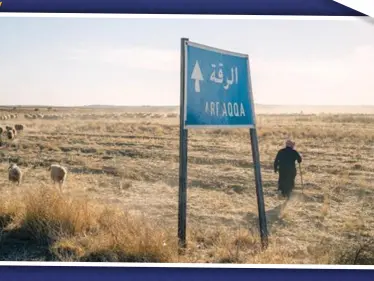 مقتل 14 من رعاة الأغنام ذبحاً بالسكاكين بريف الرقّة والتفاصيل - وكالة ستيب نيوز