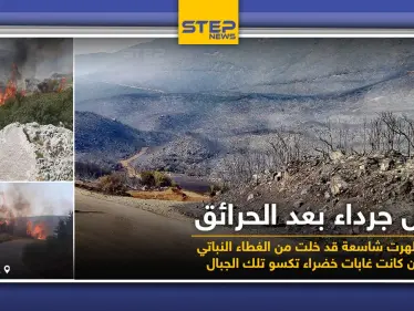 جبال خالية من النباتات عقب الحرائق التي التهمتها جراء ارتفاع درجات الحرارة - وكالة ستيب نيوز