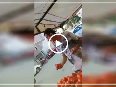 بالفيديو|| شبيه بنسخة مطابقة لـ بشار الأسد يظهر في أحد أسواق تركيا! - وكالة ستيب نيوز