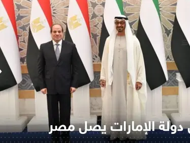 شاهد|| رئيس دولة الإمارات يصل مصر.. والسيسي في استقباله - وكالة ستيب نيوز