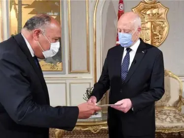 تفاصيل رسالة الرئيس المصري عبد الفتاح السيسي لنظيره التونسي قيس سعيد - وكالة ستيب نيوز