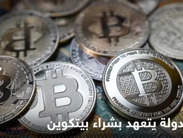 رئيس دولة يتعهد بشراء "عملة بيتكوين واحدة كل يوم" - وكالة ستيب نيوز