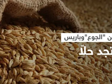 قلق الجوع يمتد من أوروبا إلى أستراليا.. وطريق بريّ قد يكون الحل - وكالة ستيب نيوز