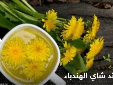 منها مكافحة خلايا سرطان قاتل .. تعرف لفوائد شاي الهندباء - وكالة ستيب نيوز