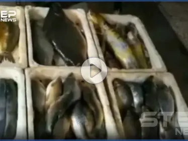 جولة مصورة داخل سوق الهال بمدينة الحسكة - وكالة ستيب نيوز