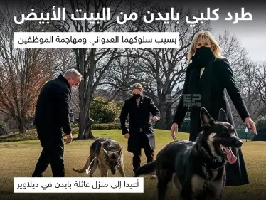 طرد كلبي الرئيس الأمريكي جو بايدن من البيت الأبيض ، بسبب سلوكهما العدواني ومهاجمة الموظفين - وكالة ستيب نيوز