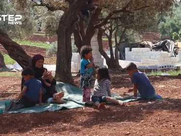 مهجرون من داريا يقدمون المساعدة لنازحي ريف إدلب وحماة لإيجاد مأوى لهم من تحت أشجار الزيتون - وكالة ستيب نيوز