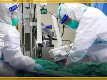 بدون أدوية.. طريقة جديدة يكشفها علماء أستراليون للشفاء من فايروس كورونا - وكالة ستيب نيوز