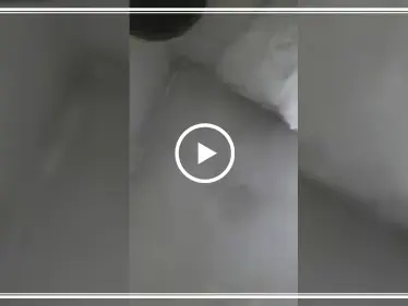 فيديو صادم لعائلة تنتظر سقوط صاروخ على منزلها بريف إدلب!! - وكالة ستيب نيوز