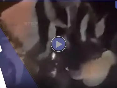 بالفيديو|| الاعتداء على متظاهر بالعصي يثير الغضب في إيران - وكالة ستيب نيوز