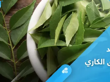 تحارب الأمراض المزمنة والخطيرة.. أوراق الكاري وفوائدها المذهلة إليك أهم المعلومات - وكالة ستيب نيوز