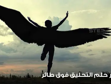 تفسير حلم التحليق فوق طائر بالمنام والطيران للعزباء والمتزوجة والمطلقة - وكالة ستيب نيوز