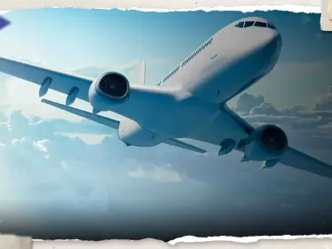 حظها السيء تبعها للجو.. عقرب على متن طائرة يلدغ سيدة والشركة تتحرك - وكالة ستيب نيوز